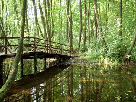 Landgasthof Zum Muehlenteich Eggersdorf  المظهر الخارجي الصورة